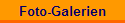 Foto-Galerien